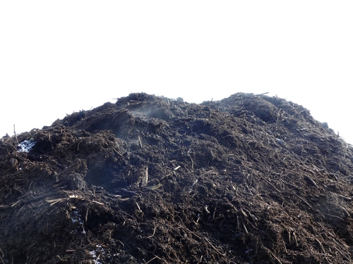 LOMBRICOMPOST PUR - EN VRAC ANDAIN